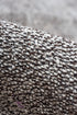 Antique Flatweave Area Rug (7' x 9')